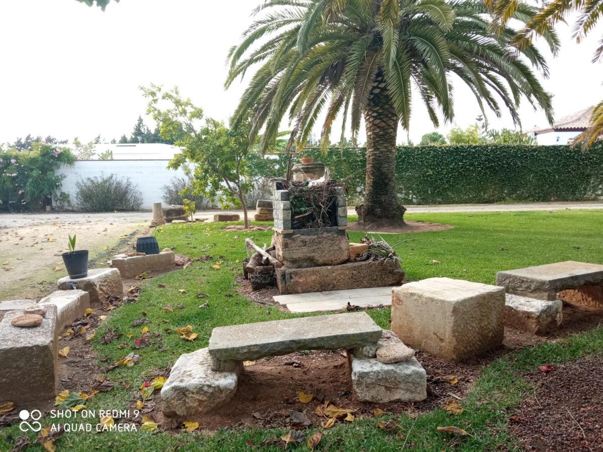 El Olivar De Roche Viejo Conil De La Frontera Exterior foto